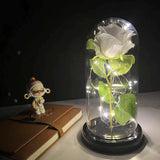 Enchanted LED Galaxy Rose