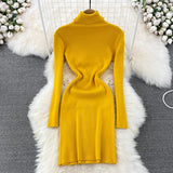 Elegant Turtleneck Knit Bodycon Dress