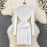 Elegant Turtleneck Knit Bodycon Dress