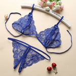 3pcs Set Transparent Lace Set