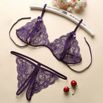 3pcs Set Transparent Lace Set