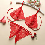 3pcs Set Transparent Lace Set