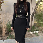 Knitted  Turtleneck Bodycon Dress