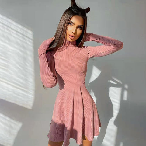 Elegant Solid Turtleneck Dress