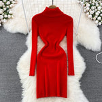 Elegant Turtleneck Knit Bodycon Dress