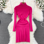 Elegant Turtleneck Knit Bodycon Dress