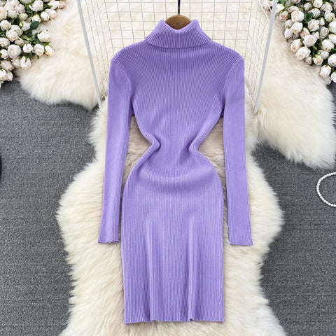 Elegant Turtleneck Knit Bodycon Dress