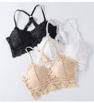 Vest Sphynx Lace Bralette