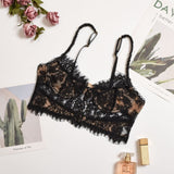 Scottish Fold Cut-out Lace Bra