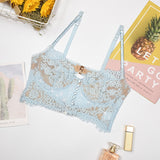 Scottish Fold Cut-out Lace Bra